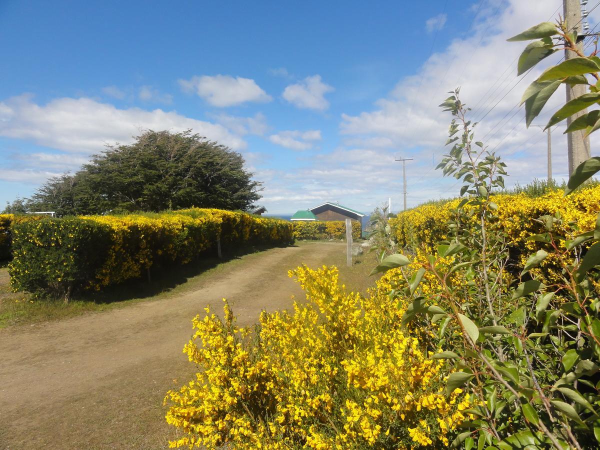 Cabanas Cerro Las Piedras Punta Arenas Ngoại thất bức ảnh